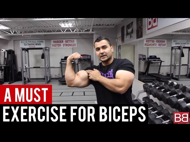 You are currently viewing A Must Bicep Exercise! Preacher Curls (Hindi / Punjabi)