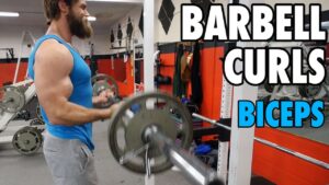 Read more about the article BARBELL CURLS | Biceps | How-To Exercise Tutorial
