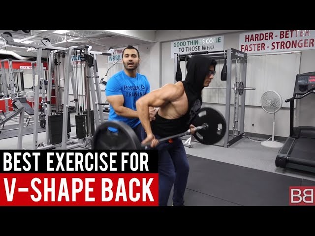 You are currently viewing BEST EXERCISE for V-SHAPED BACK! (Hindi / Punjabi)