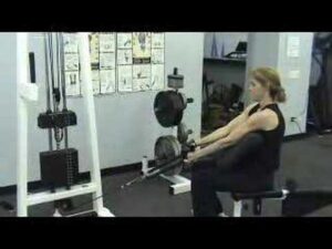 BICEP: HAMMER CURL, PREACHER BENCH, LOW PULLEY, SEATED