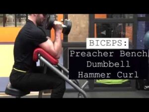 Read more about the article BICEPS Preacher Bench Dumbbell Hammer Curl