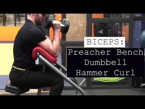 You are currently viewing BICEPS Preacher Bench Dumbbell Hammer Curl