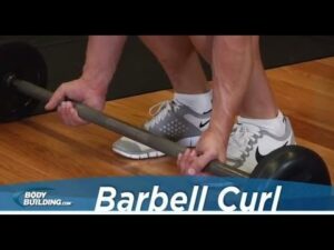 Barbell Curl – Biceps Exercise – Bodybuilding.com
