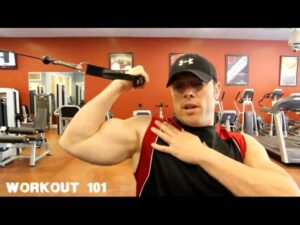 Beginner’s Biceps Training: Perfect the High-Cable Curl Exercise