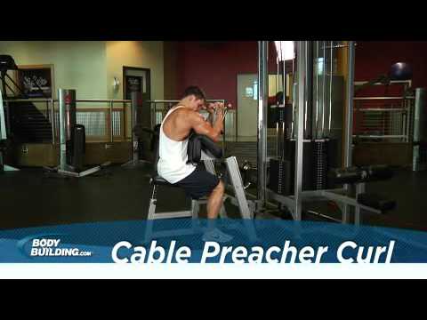 You are currently viewing Biceps   Cable Preacher Curl   Exercises Guide!   Live Health Club