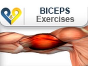 Biceps Exercises: Barbell Curls