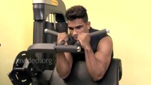 Read more about the article Body Building – Biceps Exercise Guide – Preacher Hammer Curls