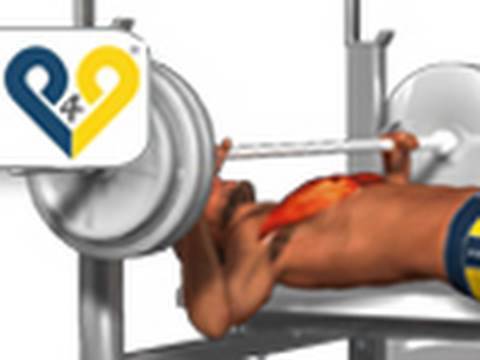 You are currently viewing Flat Bench Press Dumbbell-2