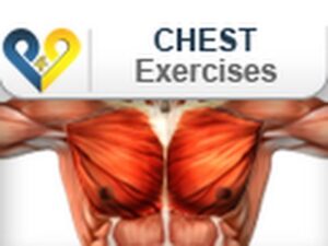 Read more about the article Chest Exercises: Push Up