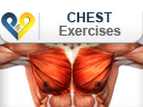 You are currently viewing Chest Exercises: Push Up