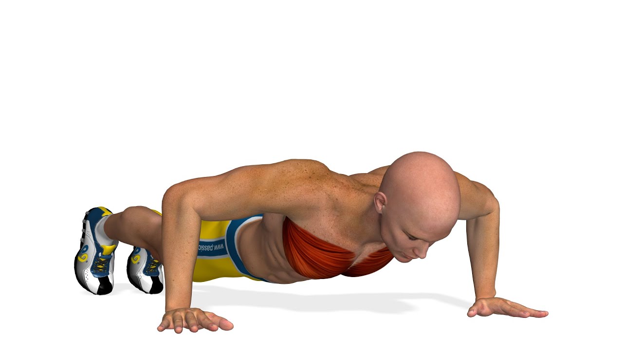 You are currently viewing Chest Workout: Push-Ups