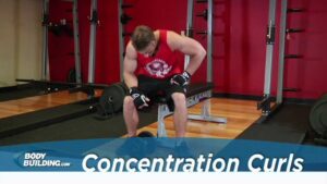 Read more about the article Concentration Curls – Biceps Exercise – Bodybuilding.com