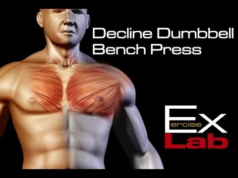 You are currently viewing Decline Bench Press : Chest Exercises