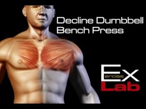 Decline Bench Press-1