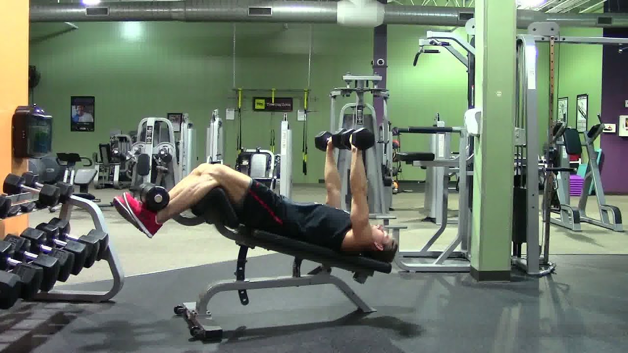 You are currently viewing Decline Dumbbell Bench Press – HASfit Lower Chest Exercise Demonstration – Decline Dumbbell Press