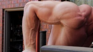 Read more about the article Triceps Dips-7