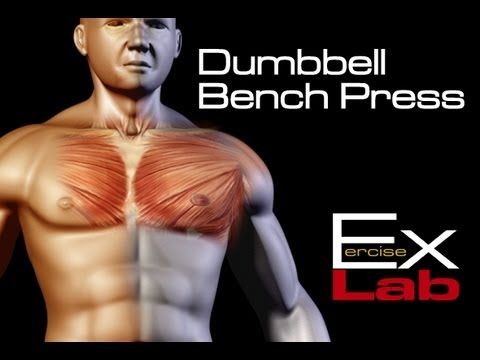 You are currently viewing Dumbbell Bench Press : Chest Exercises