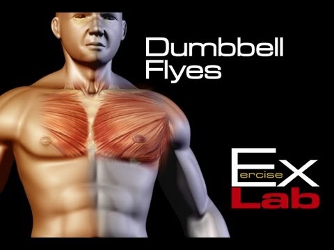 You are currently viewing Dumbbell Flyes : The Best Chest Exercises