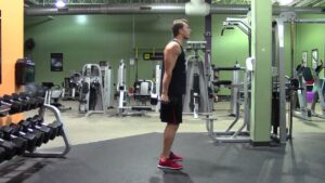 Read more about the article Dumbbell Hammer Curl – HASfit Biceps Exercise – Dumbbell Bicep Exercises