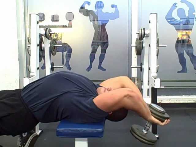 You are currently viewing Dumbbell Pullovers A Forgotten Chest Exercise