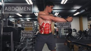 Read more about the article Exercise Anatomy: Abs Workout | Pietro Boselli
