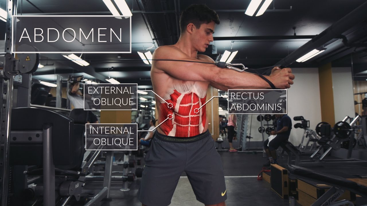 You are currently viewing Exercise Anatomy: Abs Workout | Pietro Boselli