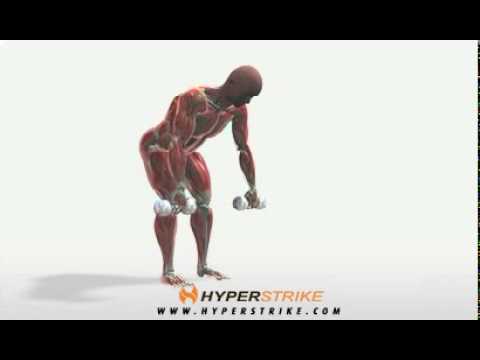 You are currently viewing Latissimus Dorsi Bent Over Row-7