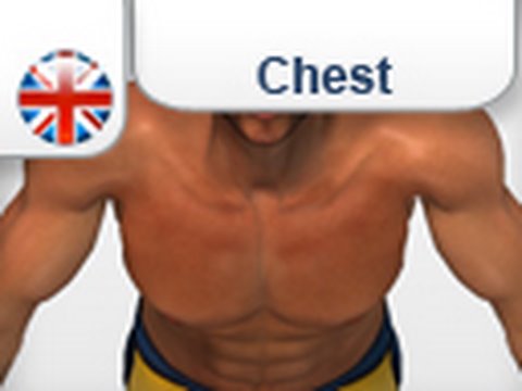 You are currently viewing Explosive Push Up – Killer home workouts for pecs & chest