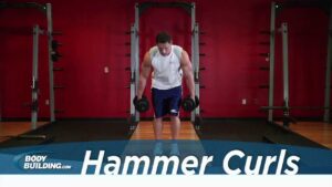 Read more about the article Hammer Curl – Biceps Exercise – Bodybuilding.com