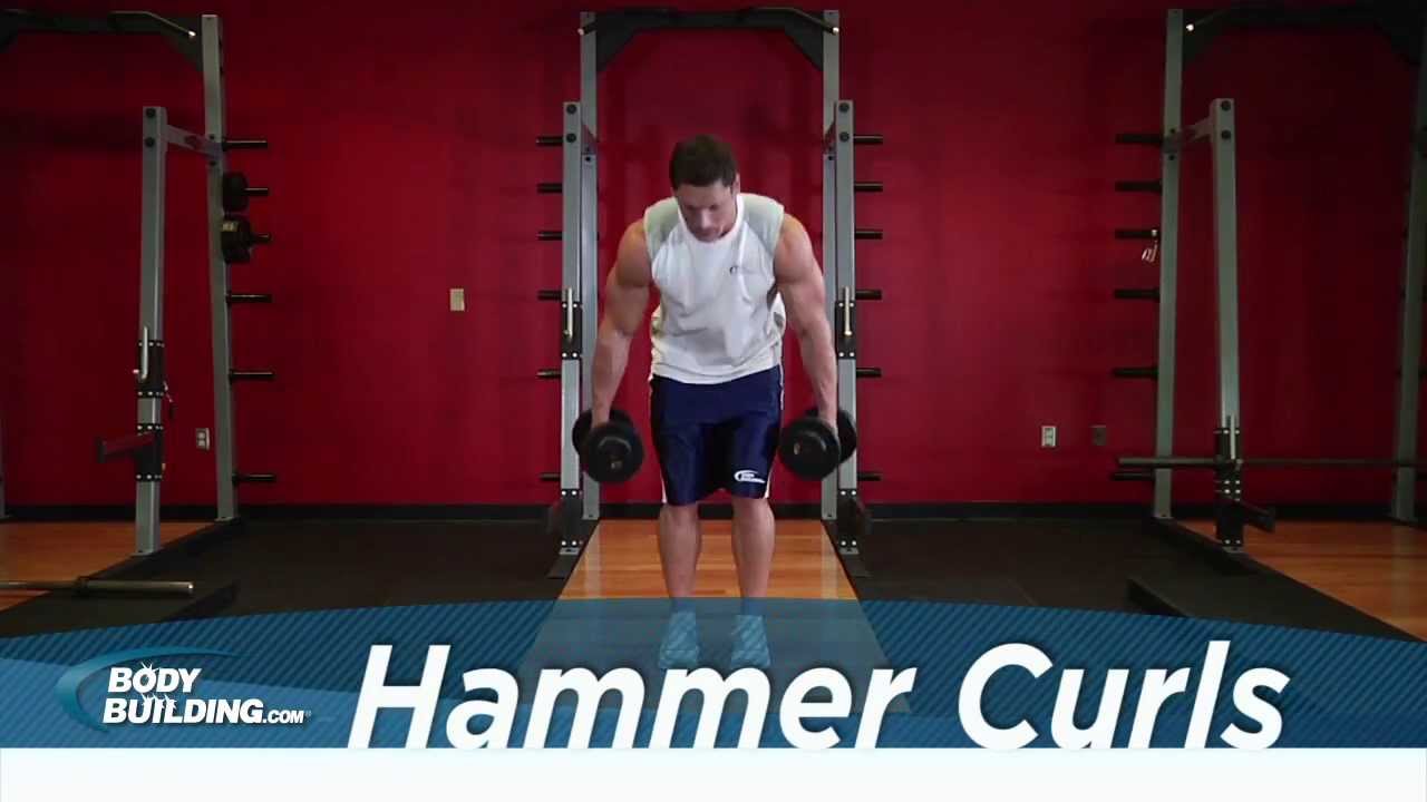 You are currently viewing Hammer Curl – Biceps Exercise – Bodybuilding.com