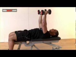Read more about the article Flat Bench Fly-2