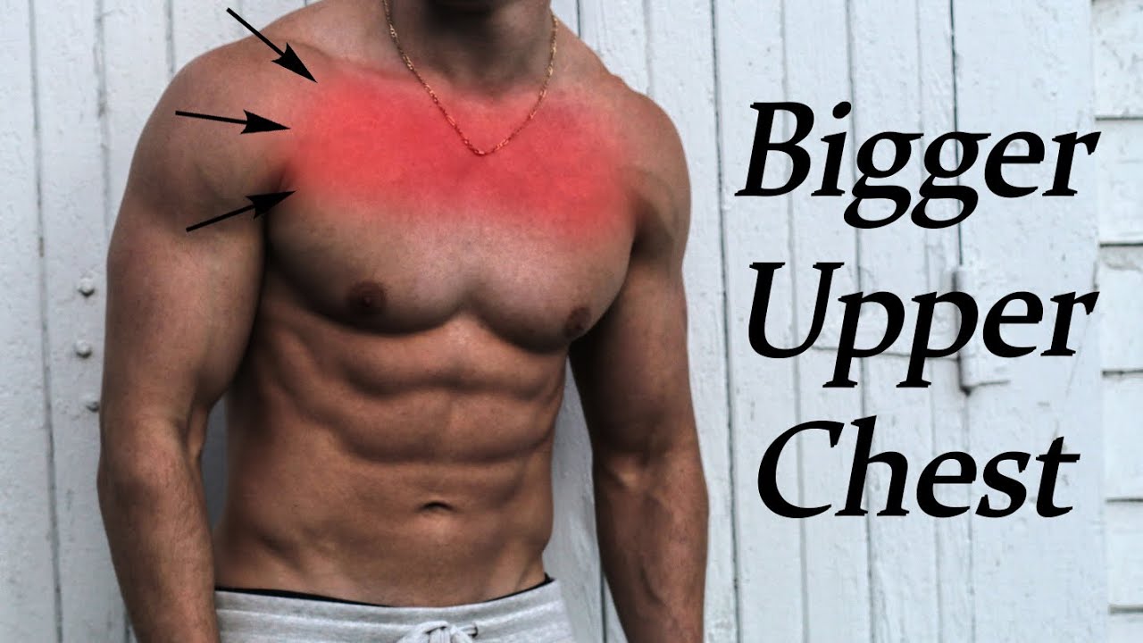 You are currently viewing How to Build A Big UPPER Chest (Ultimate Exercises) | Brendan Meyers