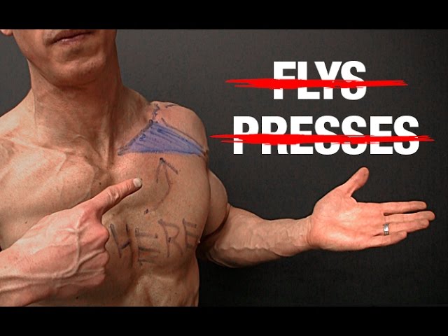 You are currently viewing How to Build Your Upper Chest (NO FLYS | NO PRESSES!)