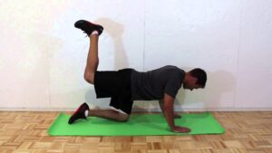 How to do a Donkey Kick Exercise
