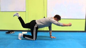 Read more about the article How to do a donkey kick/ fire hydrant variation (cycling core exercises demo)