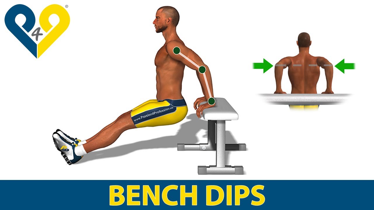 You are currently viewing How to do triceps dips on bench