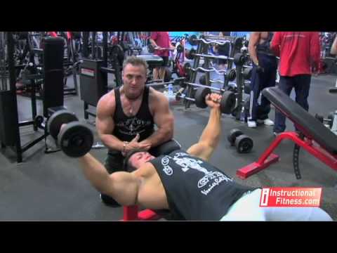 You are currently viewing Flat Bench Fly-7