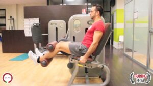 Read more about the article LEG CURL