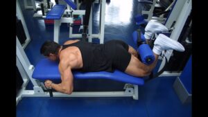 Read more about the article LEGS : LEG CURLS
