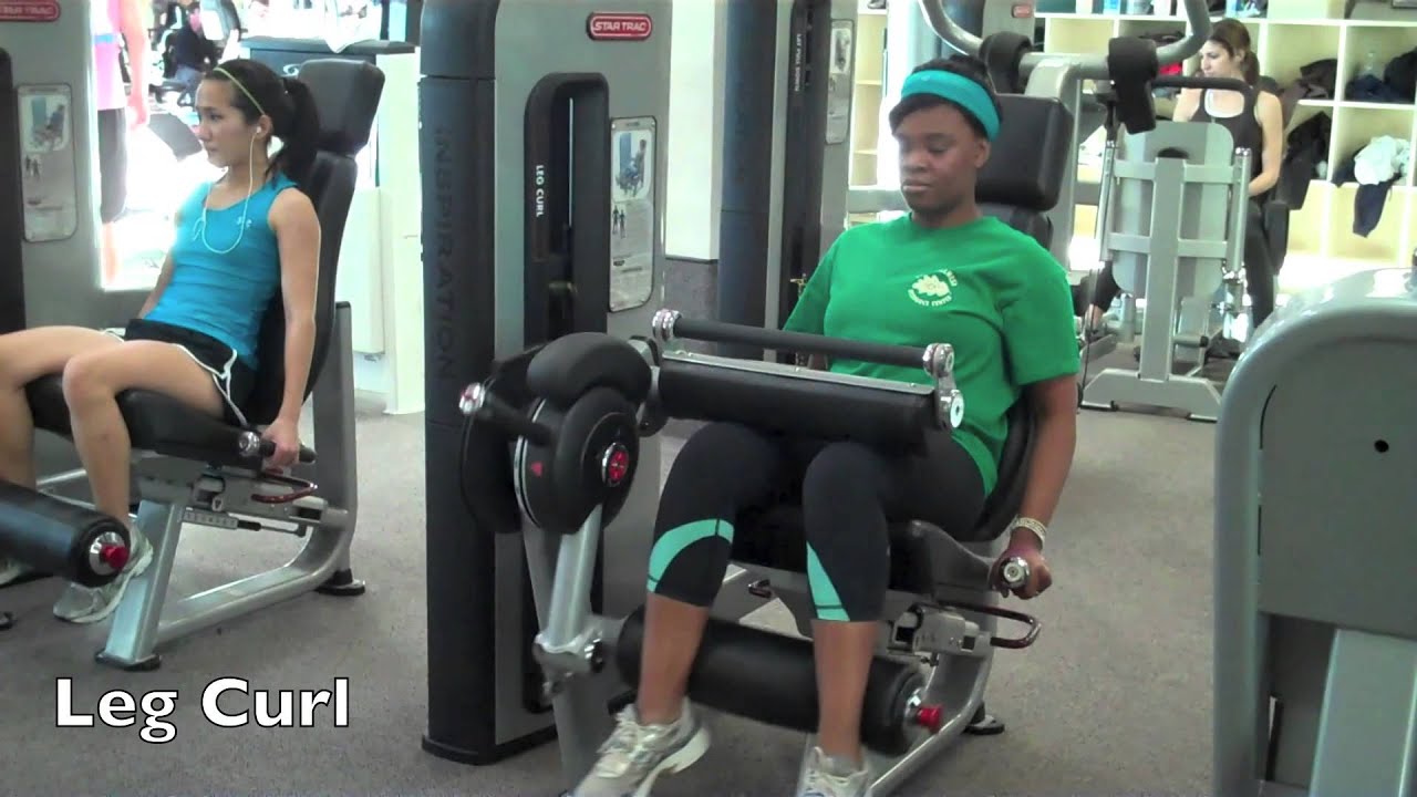 You are currently viewing Leg Curl/ Leg Curl Machine
