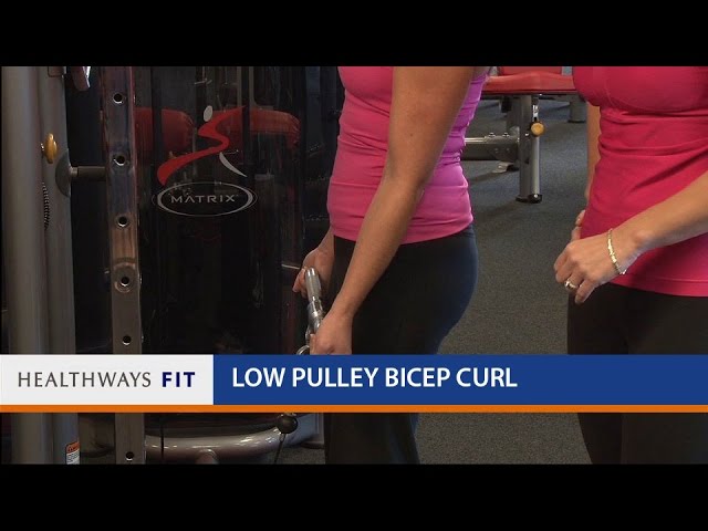 You are currently viewing Low Pulley Bicep Curl