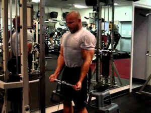 Read more about the article Low Pulley Biceps Curl