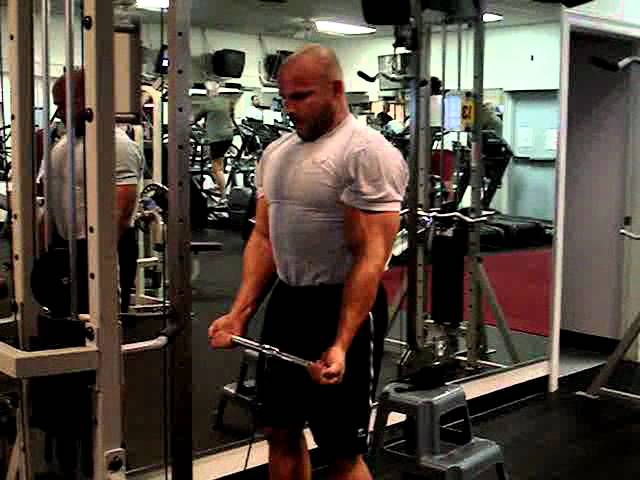 You are currently viewing Low Pulley Biceps Curl