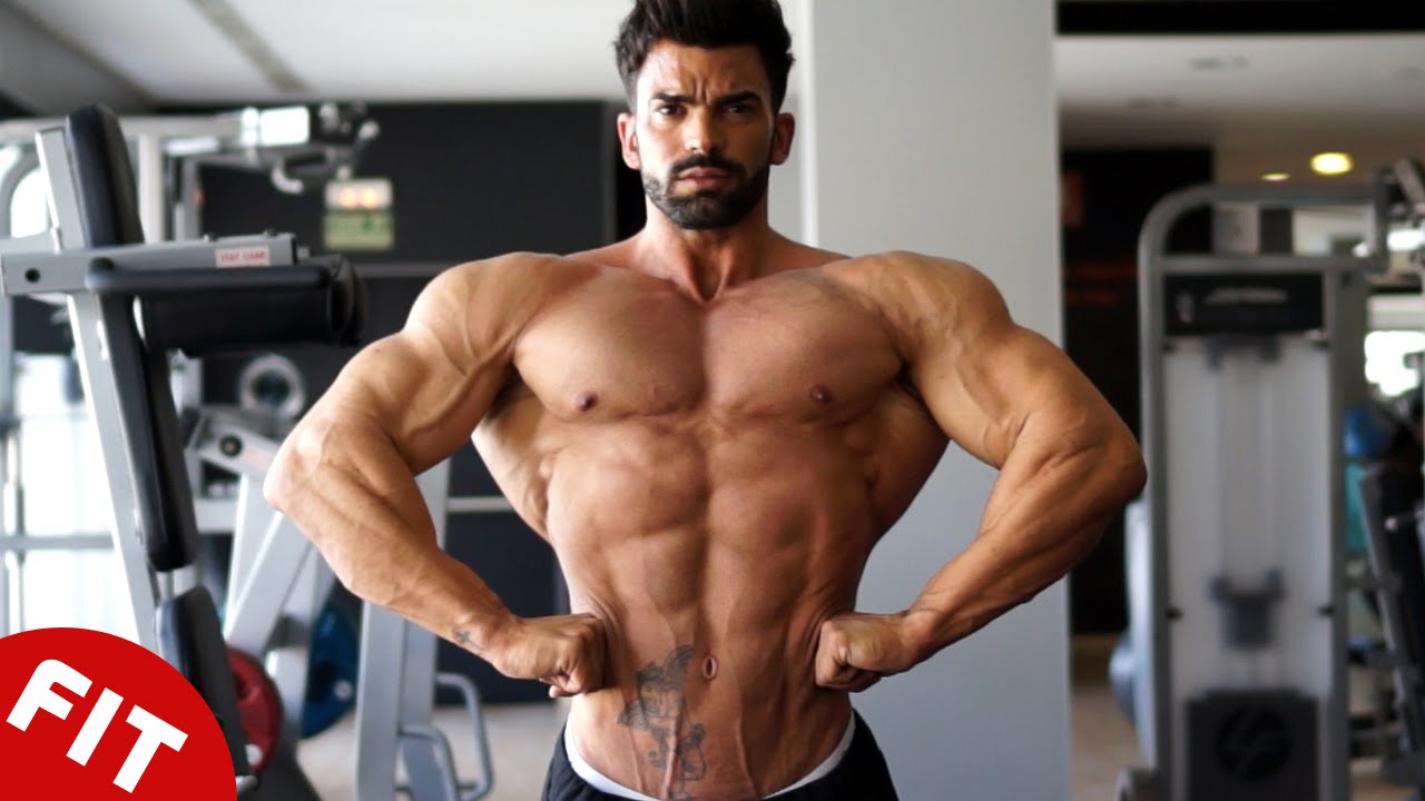 You are currently viewing SERGI CONSTANCE INSANE BACK WORKOUT