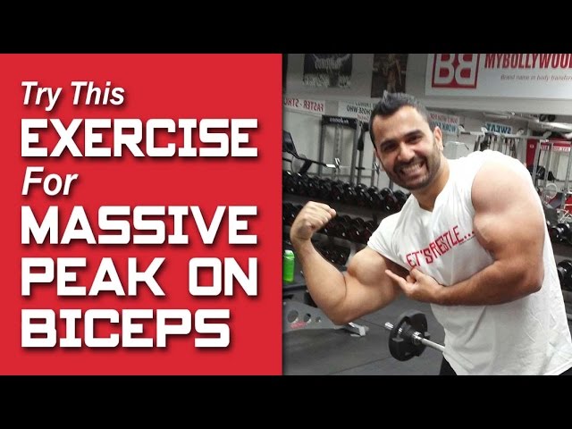 You are currently viewing Seated CONCENTRATION CURLS for BICEPS! (Hindi / Punjabi)