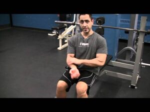 Read more about the article Seated Dumbbell Bicep Curls