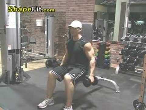 You are currently viewing Lateral Raises-13