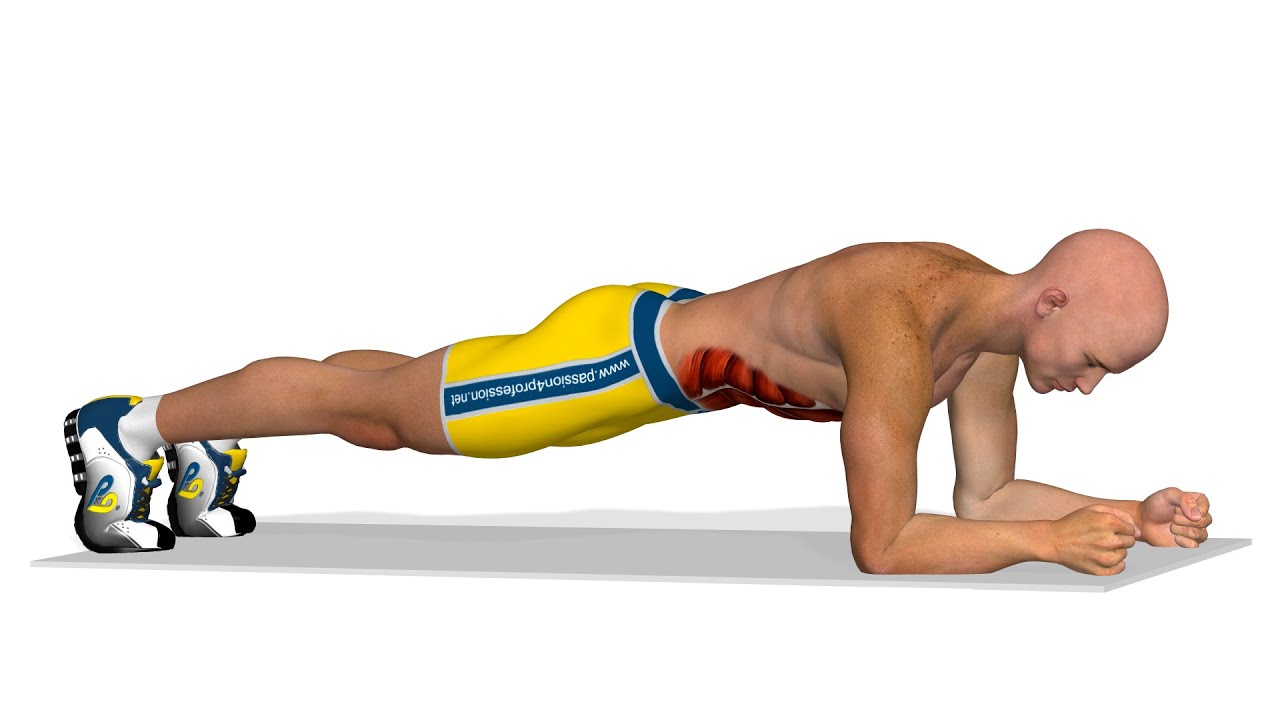 You are currently viewing Strong abs exercises: Plank