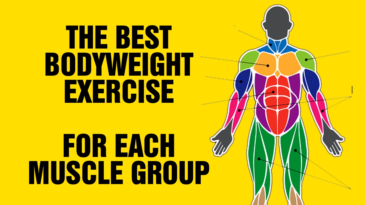 You are currently viewing The Best Bodyweight Exercise For Each Muscle Group – Calisthenic Exercises