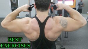 Read more about the article Rear Deltoid-11
